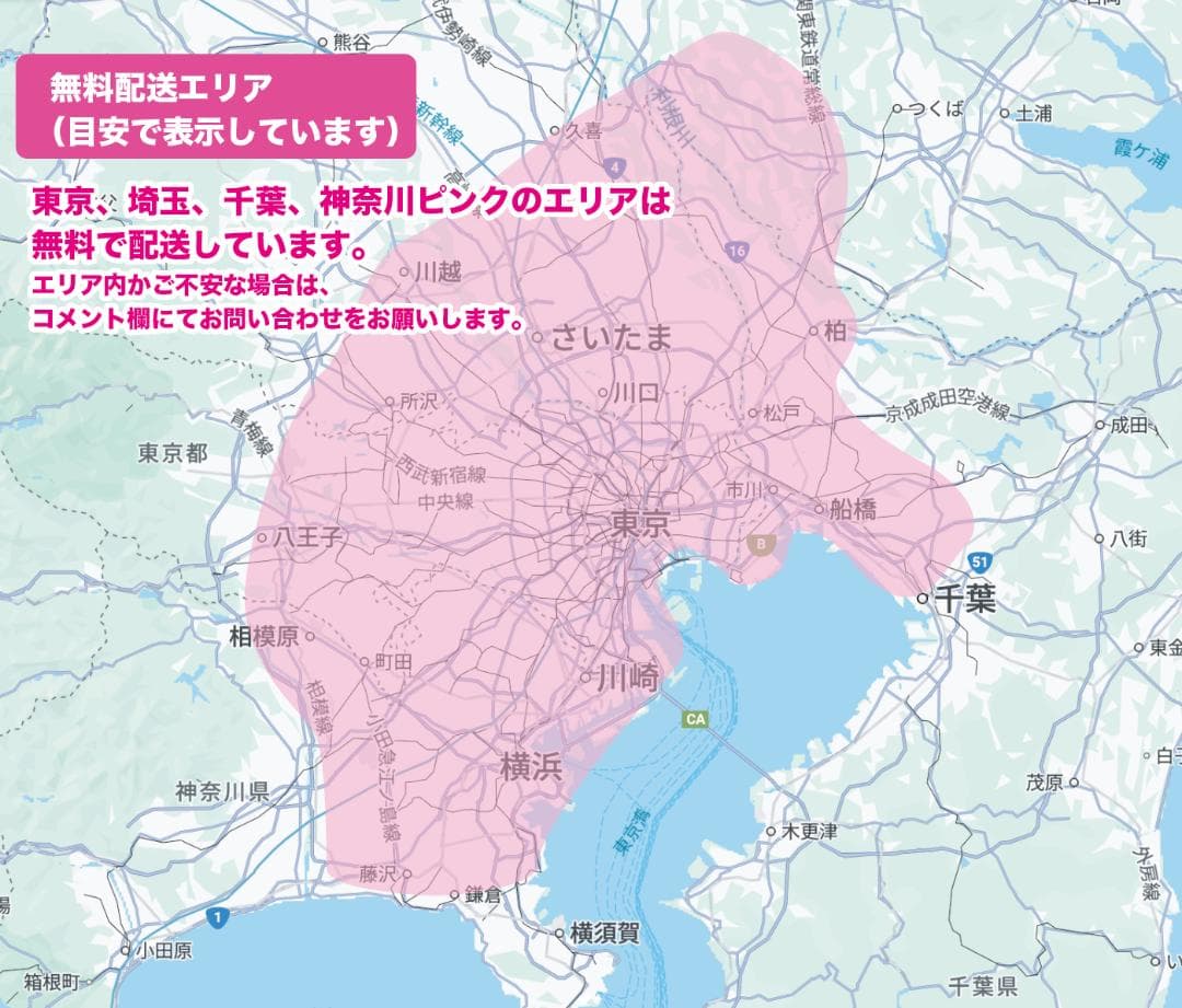 《PANASONIC》20インチ子供乗せ電動自転車ギュットNZ2621