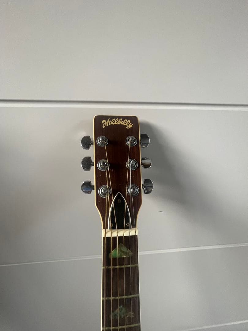 Hillbilly アコースティックギター 。ハードケース付き