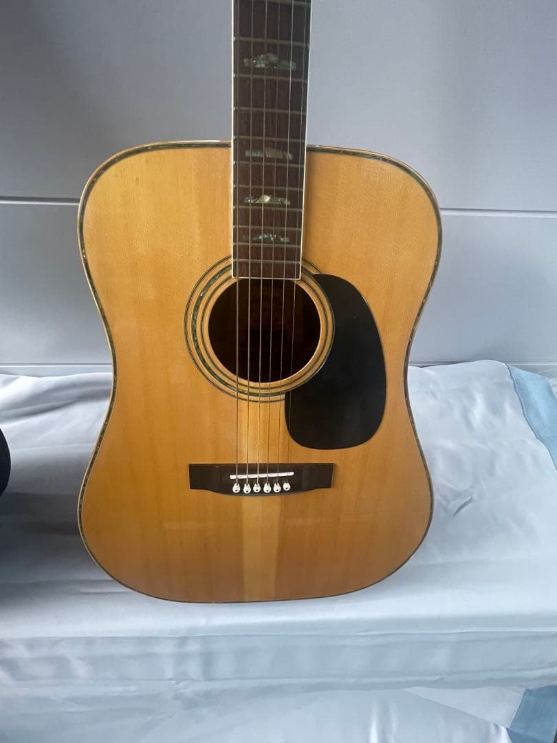 Hillbilly アコースティックギター 。ハードケース付き