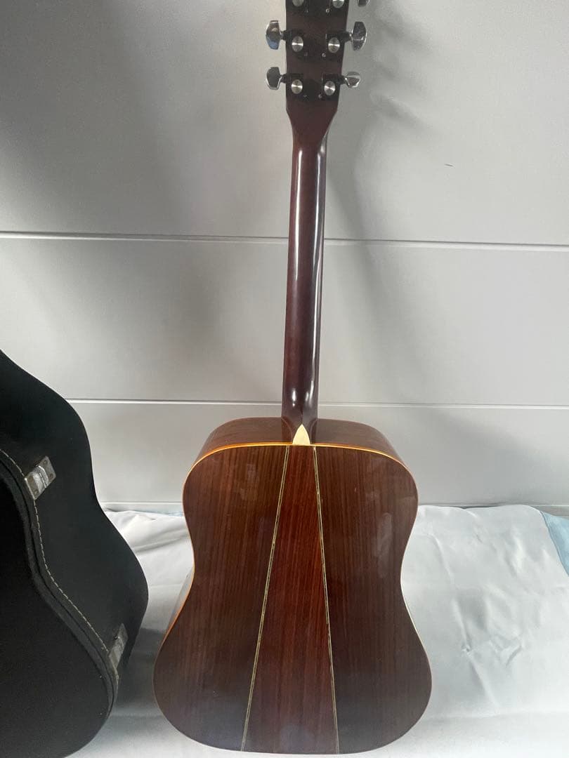 Hillbilly アコースティックギター 。ハードケース付き