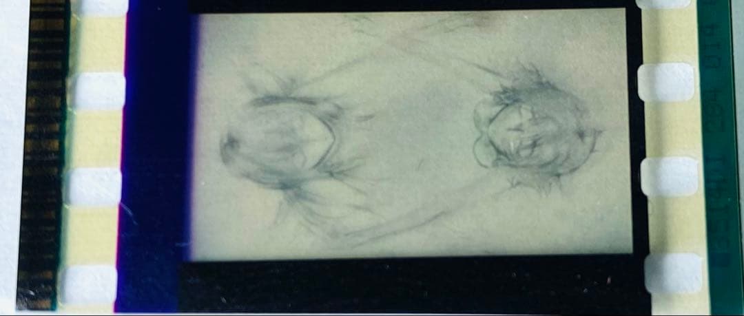 シュタインズゲート Blu-ray 特典 フィルム 牧瀬紅莉栖 椎名まゆり