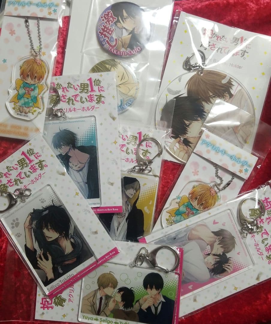 D166 だかいちキーホルダー 8コ+缶バッチ2個おまけ