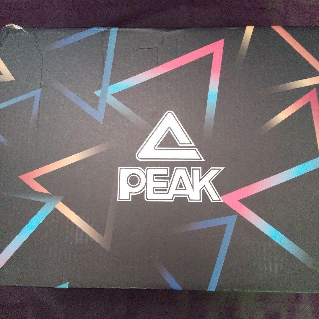 シューズ(男性用) PEAK ATTITUDE 4