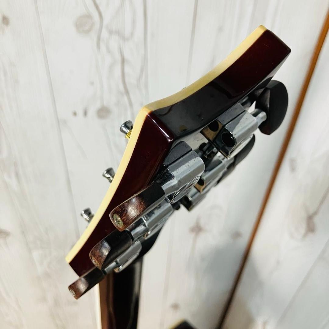 Paul Reed Smith SE Angelus Custom エレアコ