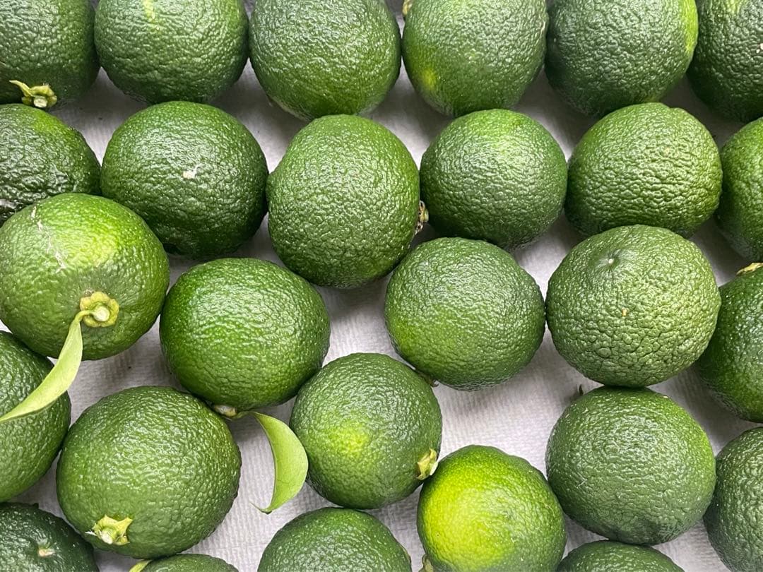 青柚子　花柚子　約15キロ