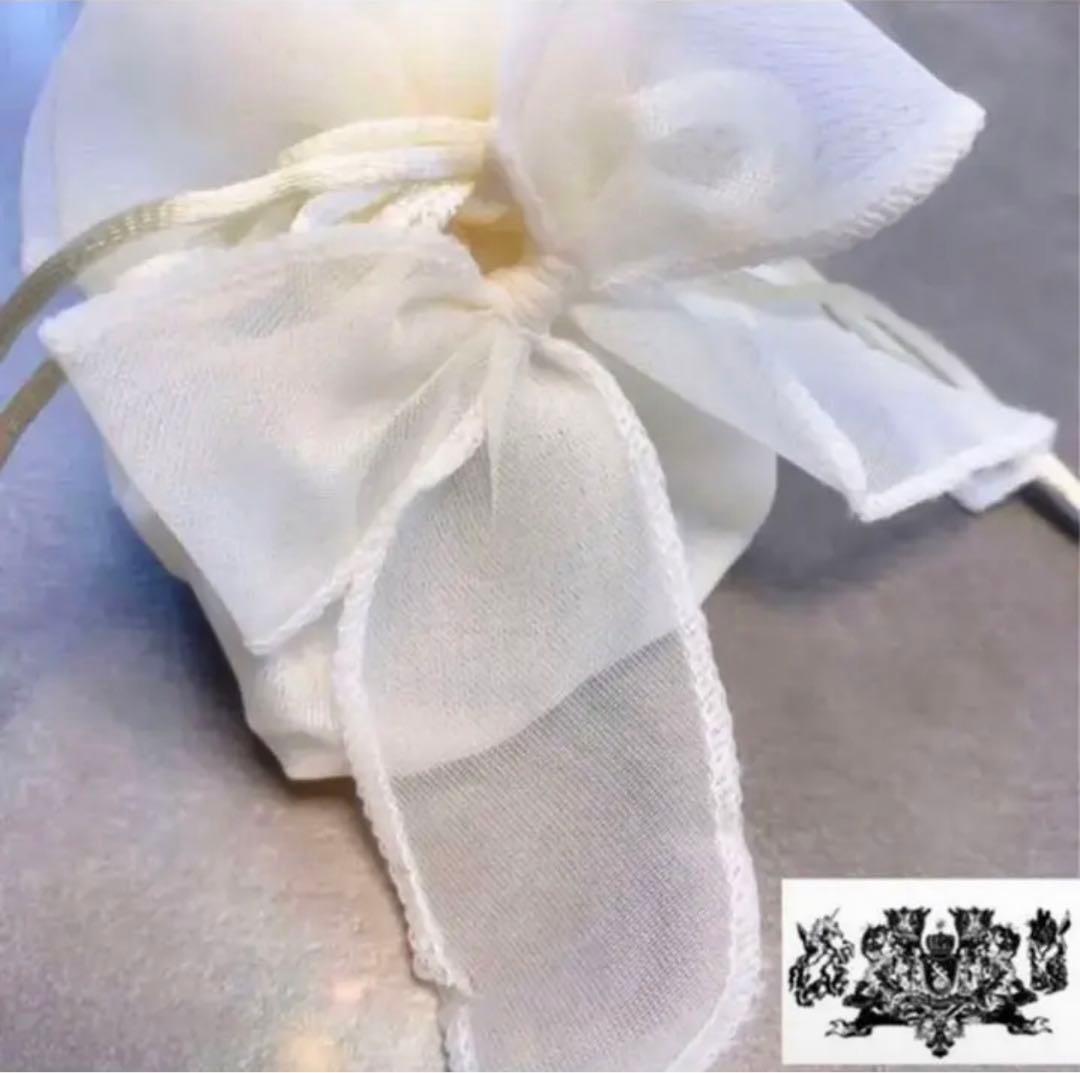 本物の流れ星の粉✨✨✨⭐️隕石⭐️✨✨✨