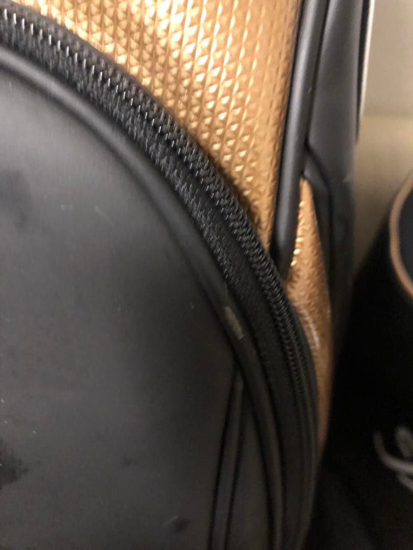 【送料込み】数量限定タイトリスト　キャディバッグ　廃盤希少品