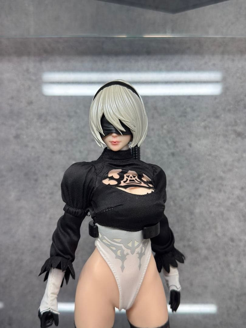 SUPER DUCK SET064-B S42A SDH046 ２B セット