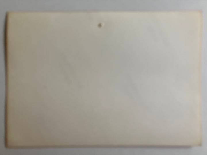 1978年大阪Rainbow LIVE写真