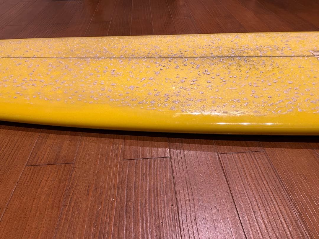 Pavel MONO サーフボード 6’10 【手渡し限定】ハル リッチパベル