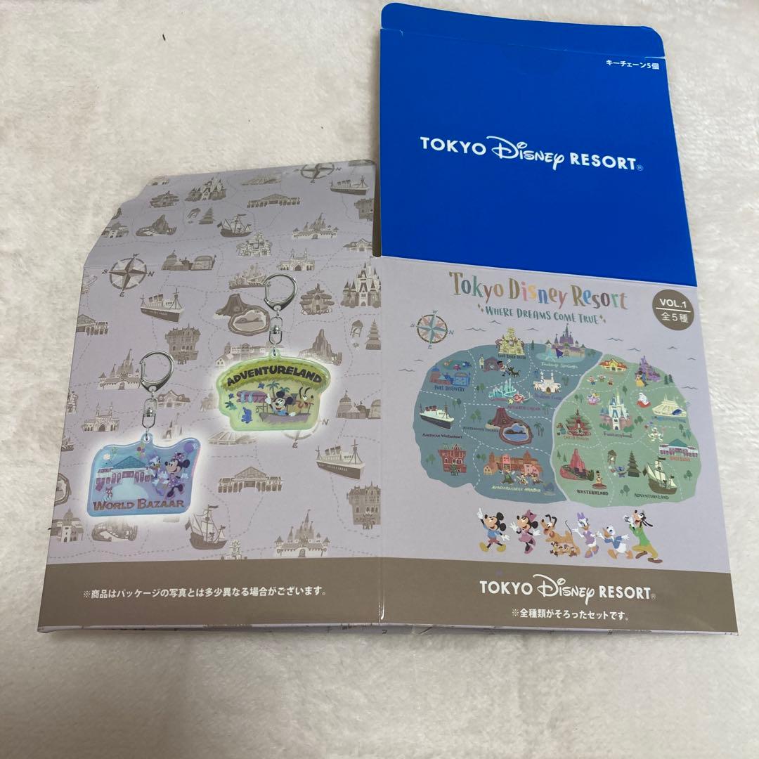 ディズニーリゾート　キーチェーン　ウェアドリームズカムトゥルー