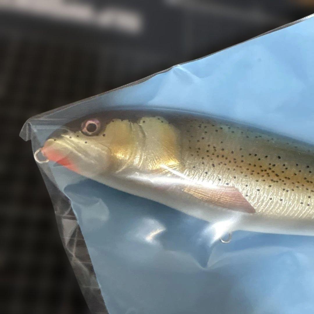 未使用　トモスルアー　ランチパッカー　10インチ 新品未使用です。