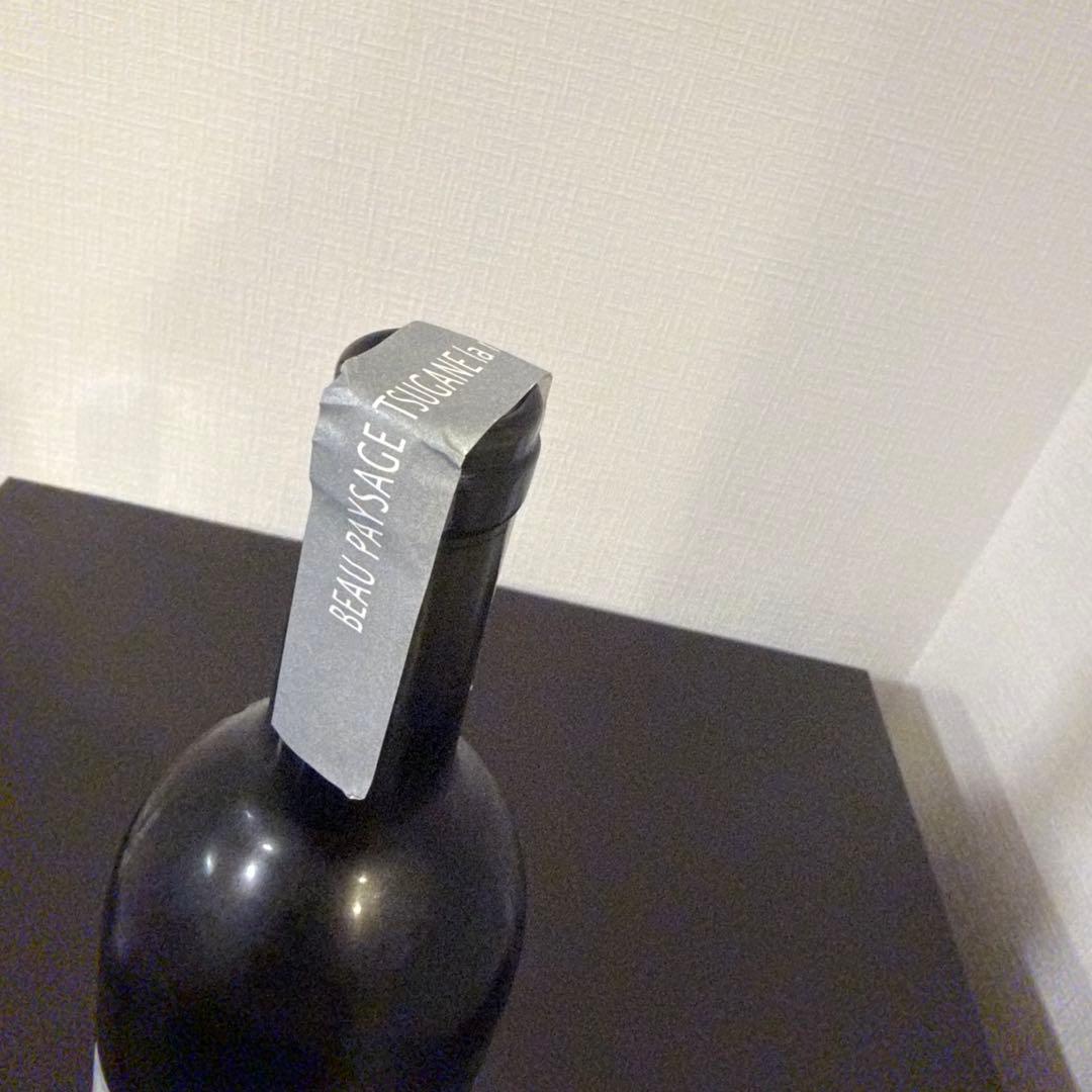 ボーペイサージュTSUGANE la montagne trance 2018