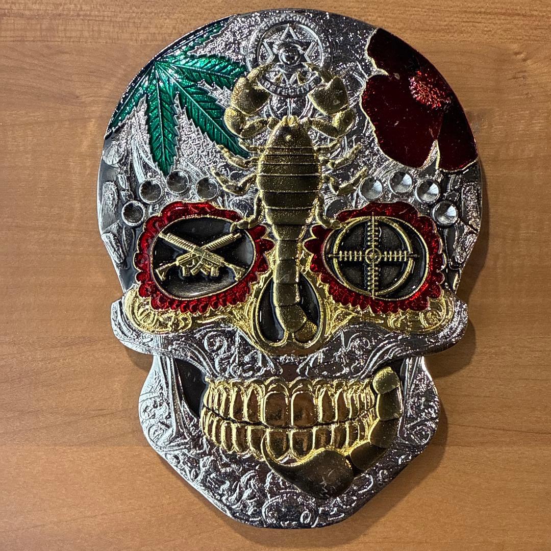 HSI サンタクルーズ 国土安全保障省 チャレンジ