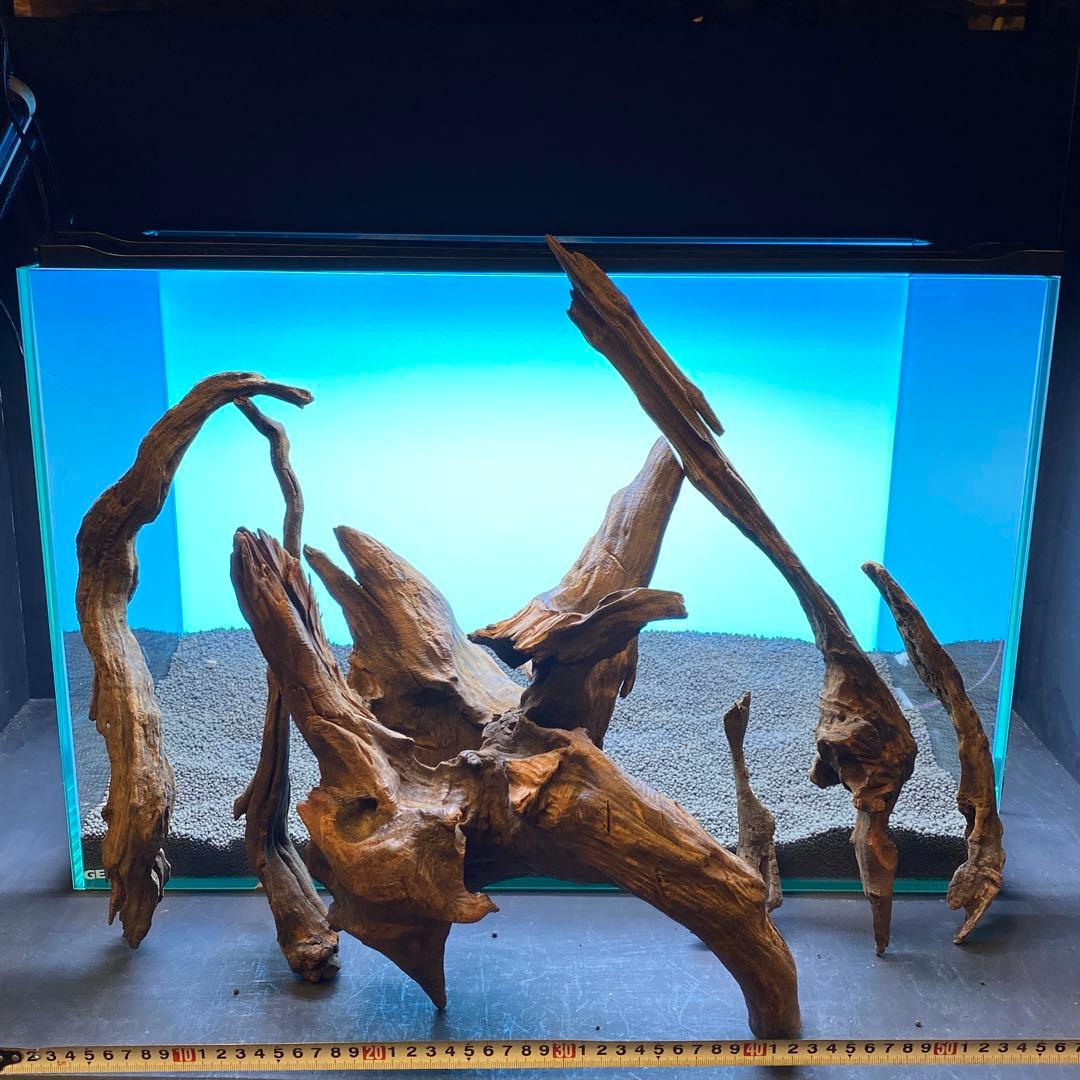 MRW-6691 赤系天然流木レイアウトセット　60cm水槽用流木　アクアリウム