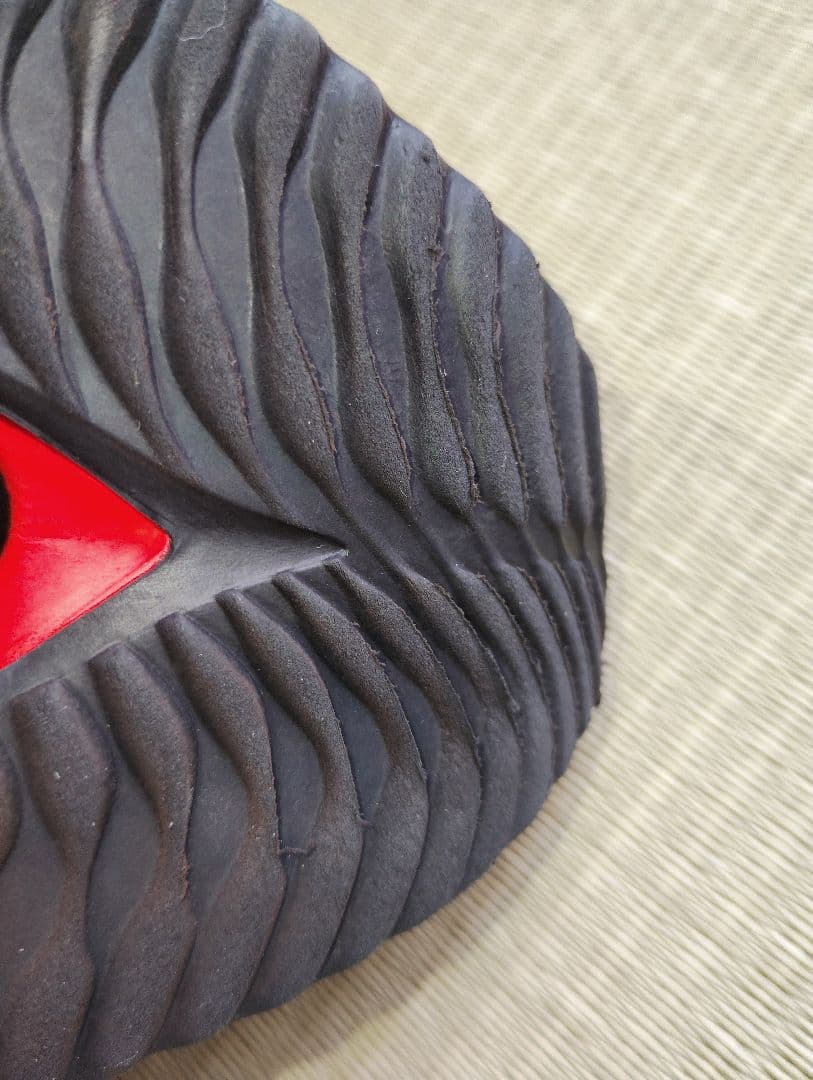 スパイク・シューズ Nike Alphafly US7.5(WM24.5cm/M24cm)