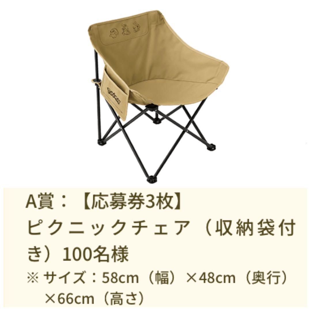 ポケモン ガリガリ君 懸賞 当選品 ピクニックチェア アウトドアチェア 希少