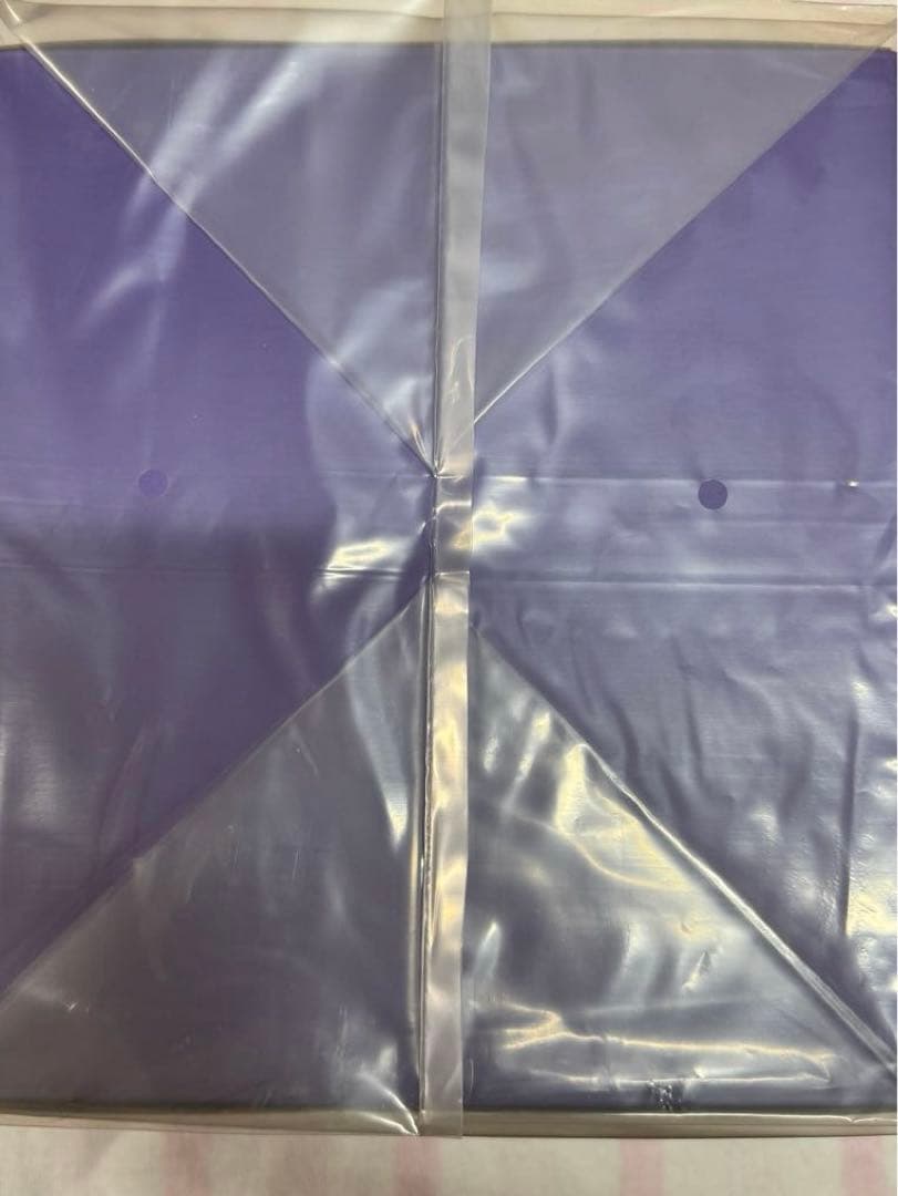 ポケモンセンターオリジナルフィギュア ミライドン コトブキヤ