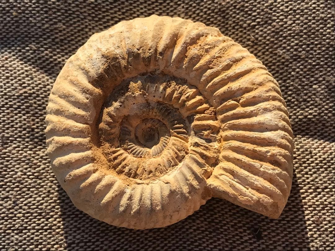 Mew様 リクエスト 3点 まとめ商品