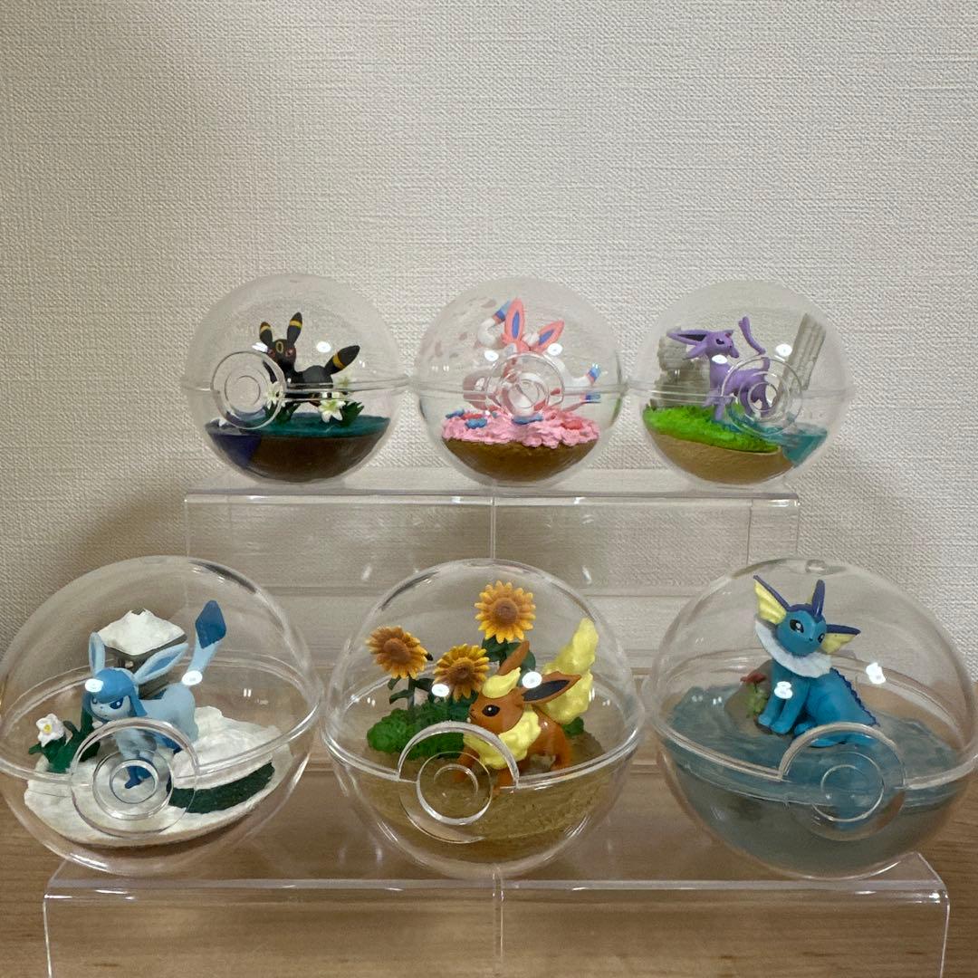 ポケモン　テラリウムコレクション　ブイズ
