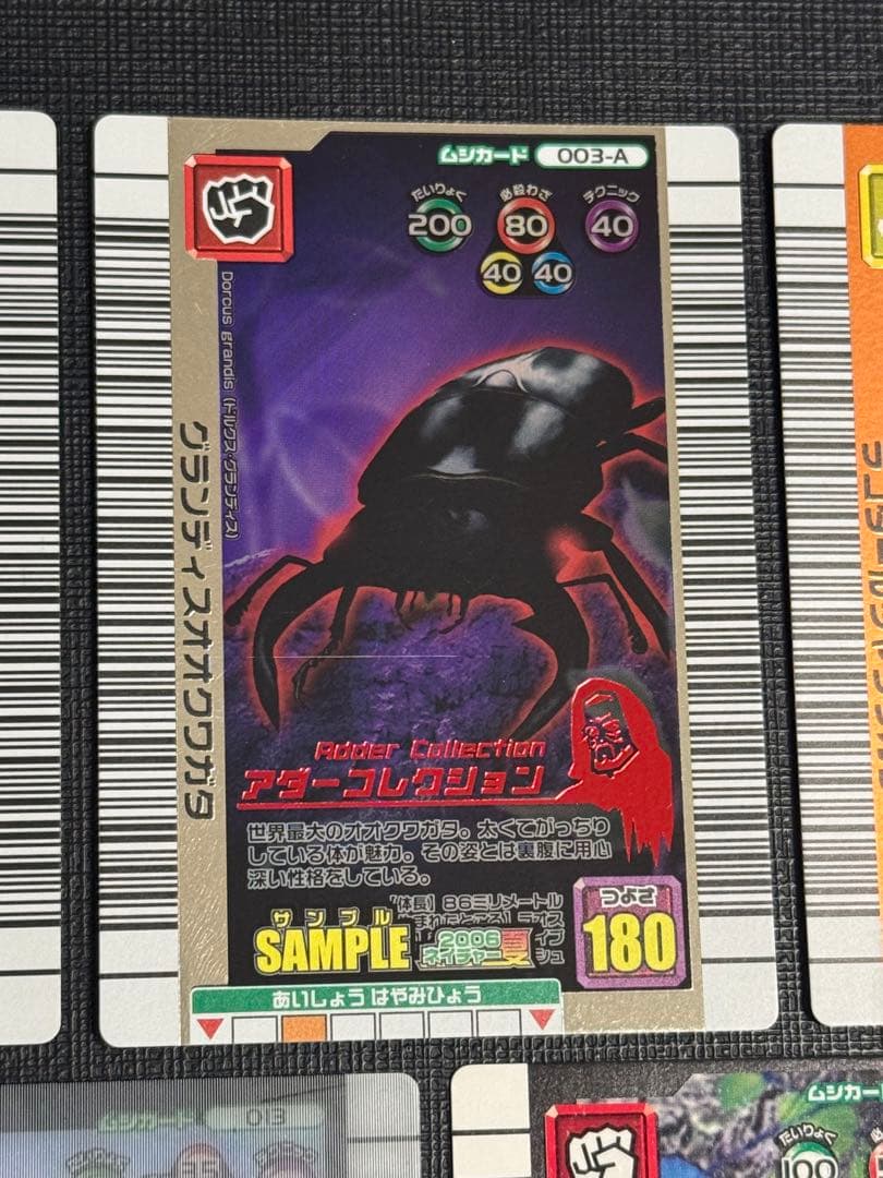 ムシキング 2006夏ネイチャー サンプルカード 5枚セット