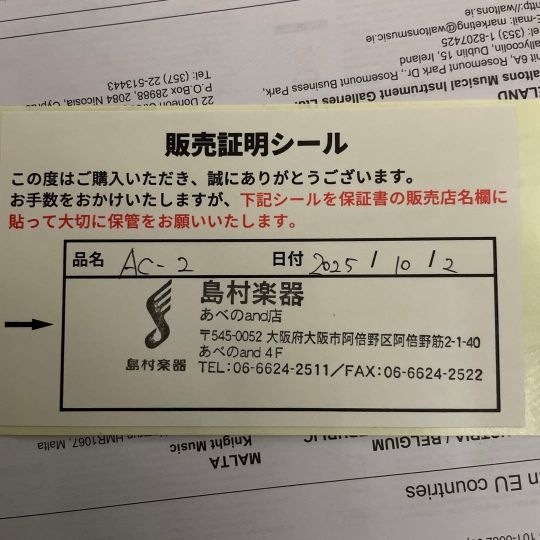 ギター ACOUSTIC CREATOR AC-2