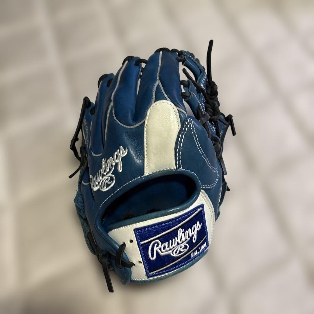 Rawlings 軟式用グローブ Dual Palm 青白