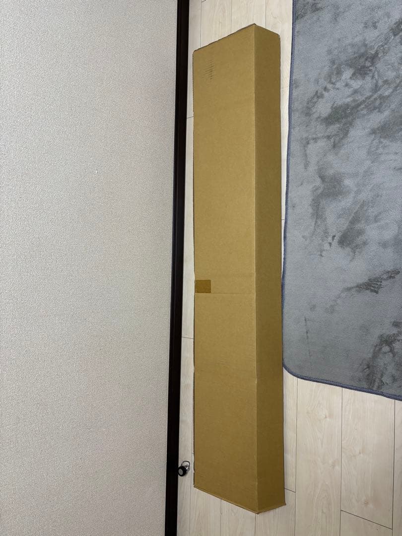 Völkl r1 スキー 159cm ポール付き