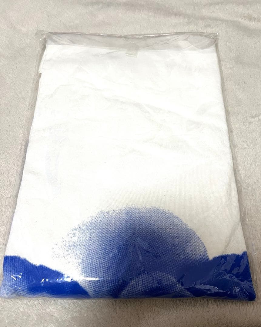 銀杏BOYZ ロングTシャツ