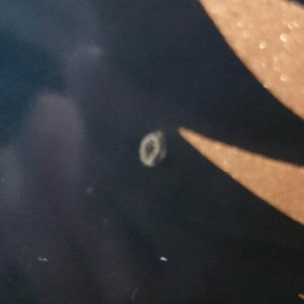 画像確認用です。