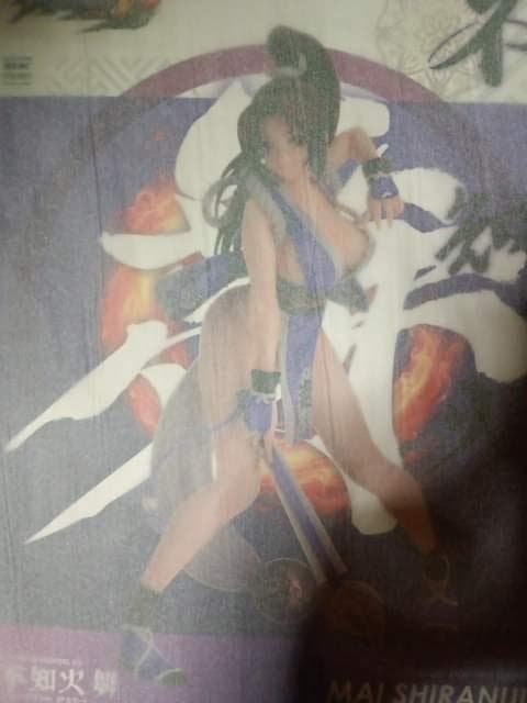 新品 KOF XIV 不知火舞 リパッケージVer. 2Pカラー