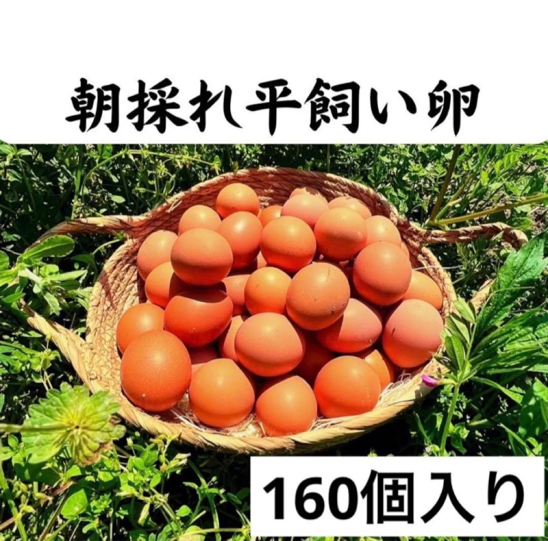 大分県産平飼い鶏卵 160個入り