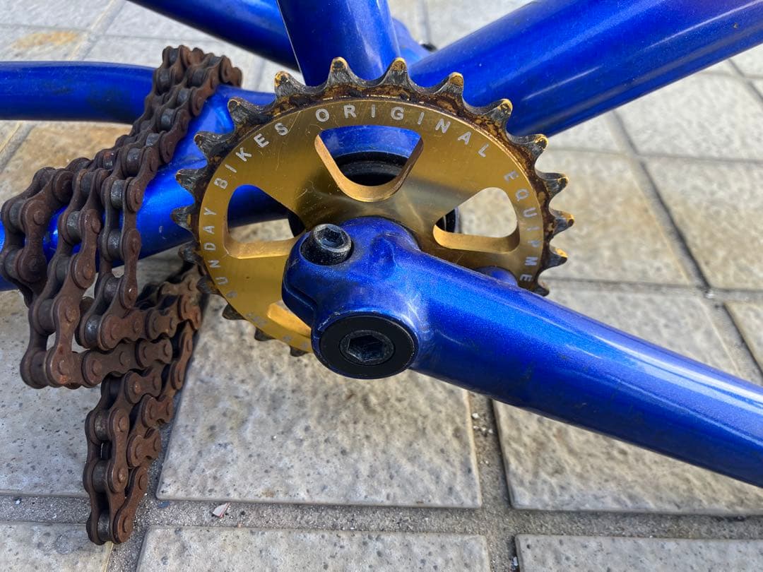 Sunday! GARY YOUNG EX BMX フレームセット 青 20