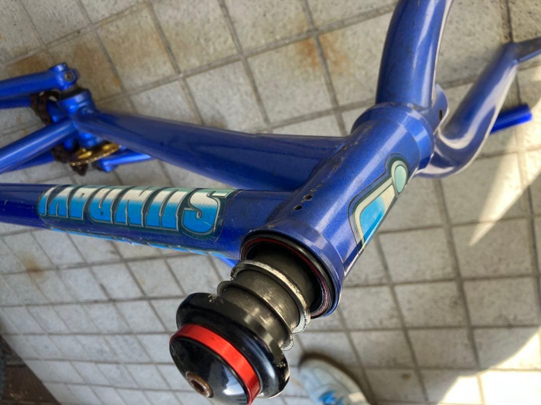 Sunday! GARY YOUNG EX BMX フレームセット 青 20