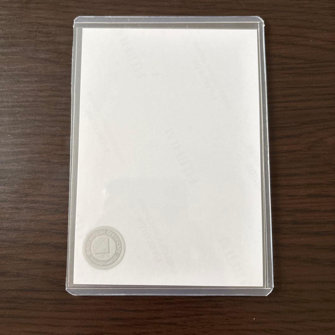 森田ひかる 直筆サイン クリスマスサンタ衣装2024