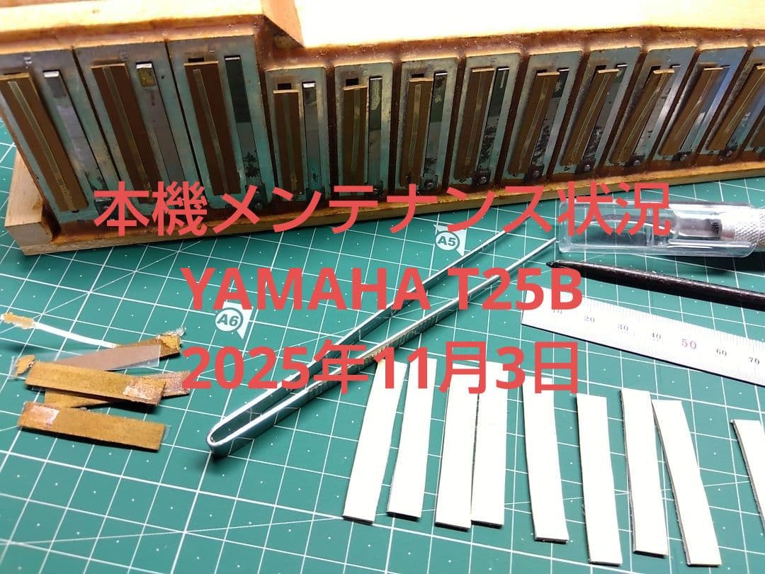 【可愛いレア品音出OK】YAMAHA T25B テナー（中音域）アコーディオン