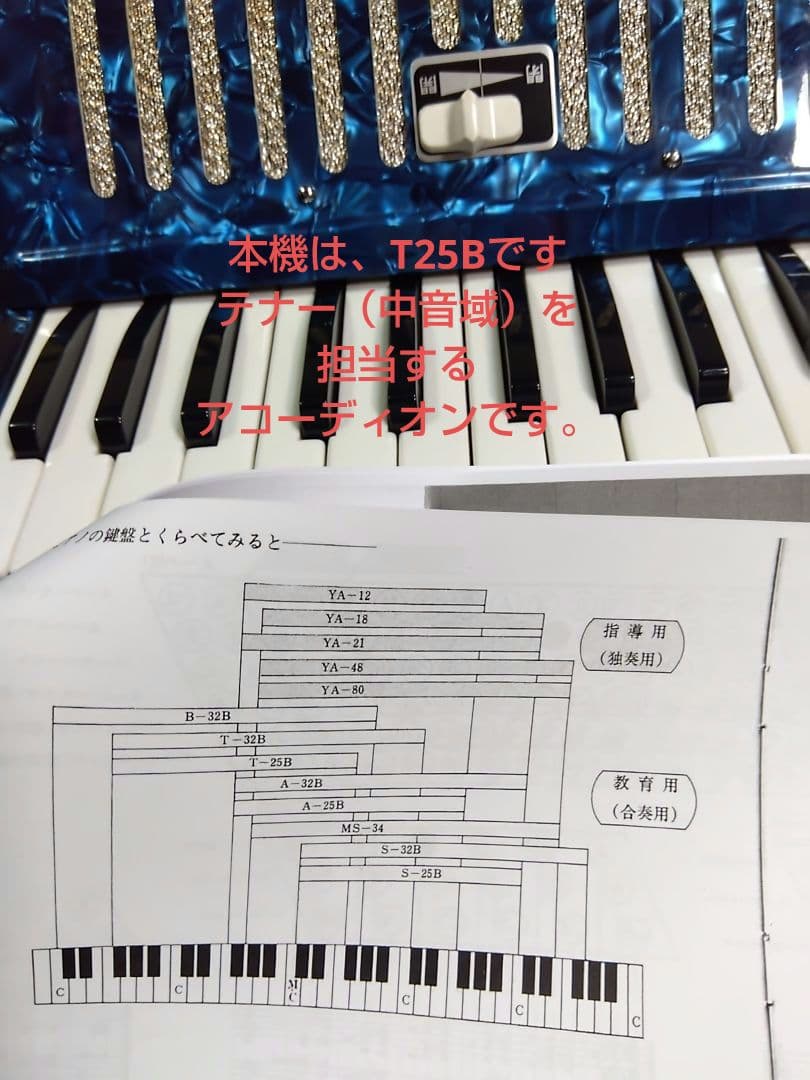 【可愛いレア品音出OK】YAMAHA T25B テナー（中音域）アコーディオン