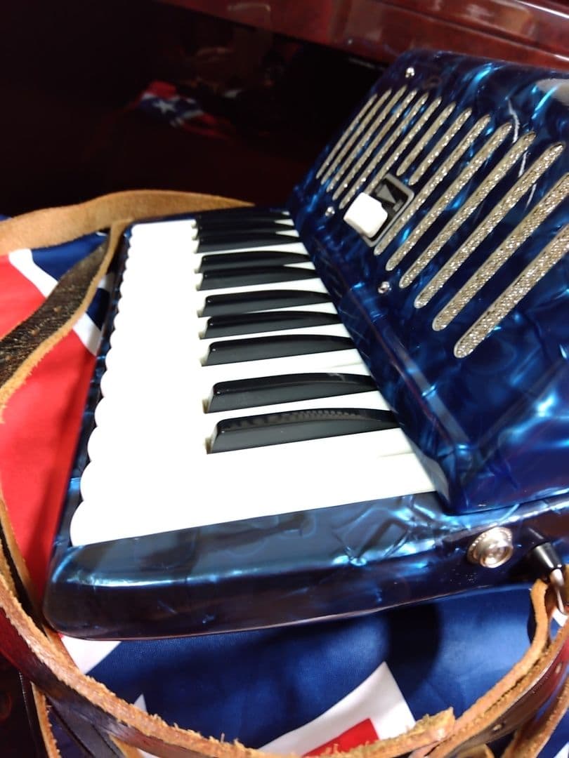 【可愛いレア品音出OK】YAMAHA T25B テナー（中音域）アコーディオン