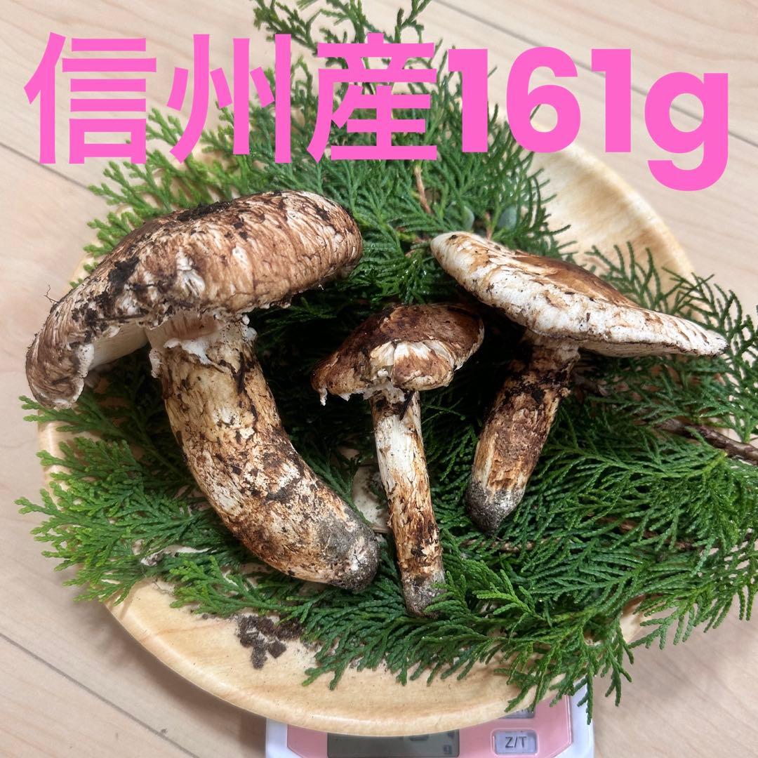 信州産松茸161g