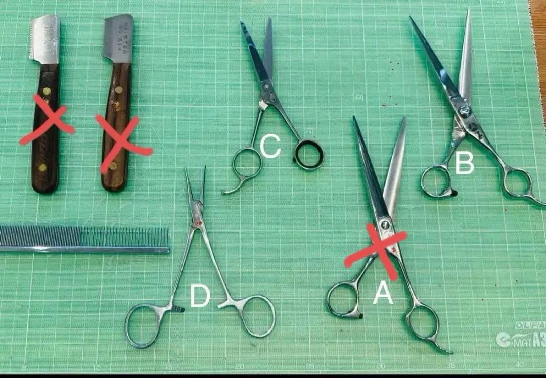 ペットトリミング用　シザーセット