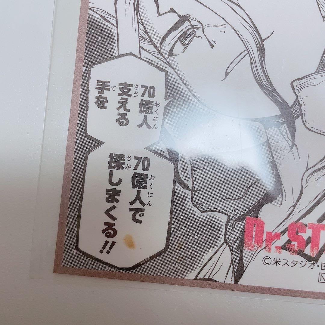 Dr.STONE 石神千空 レプリカチケット 東武動物公園 スタンプラリー