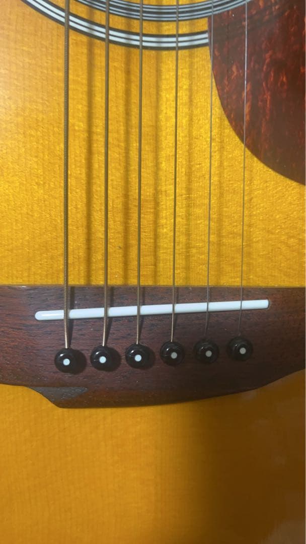 James J-350C BBT アコースティックギター セミハードケース付き