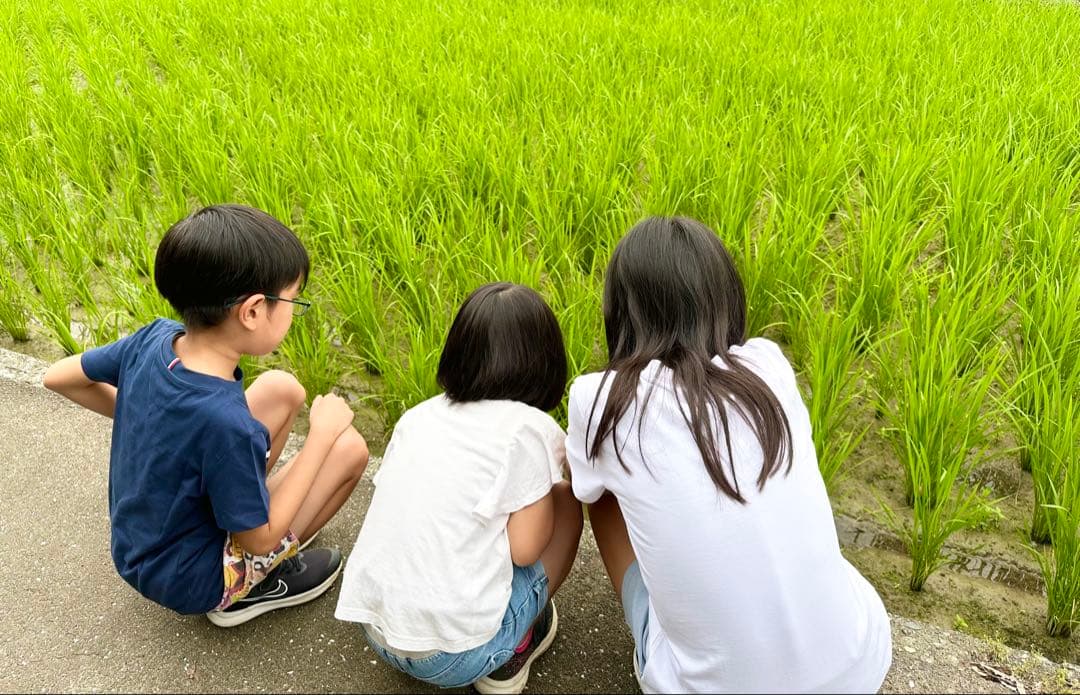 令和7年新米!!高知産コシヒカリ玄米30kg☆彡