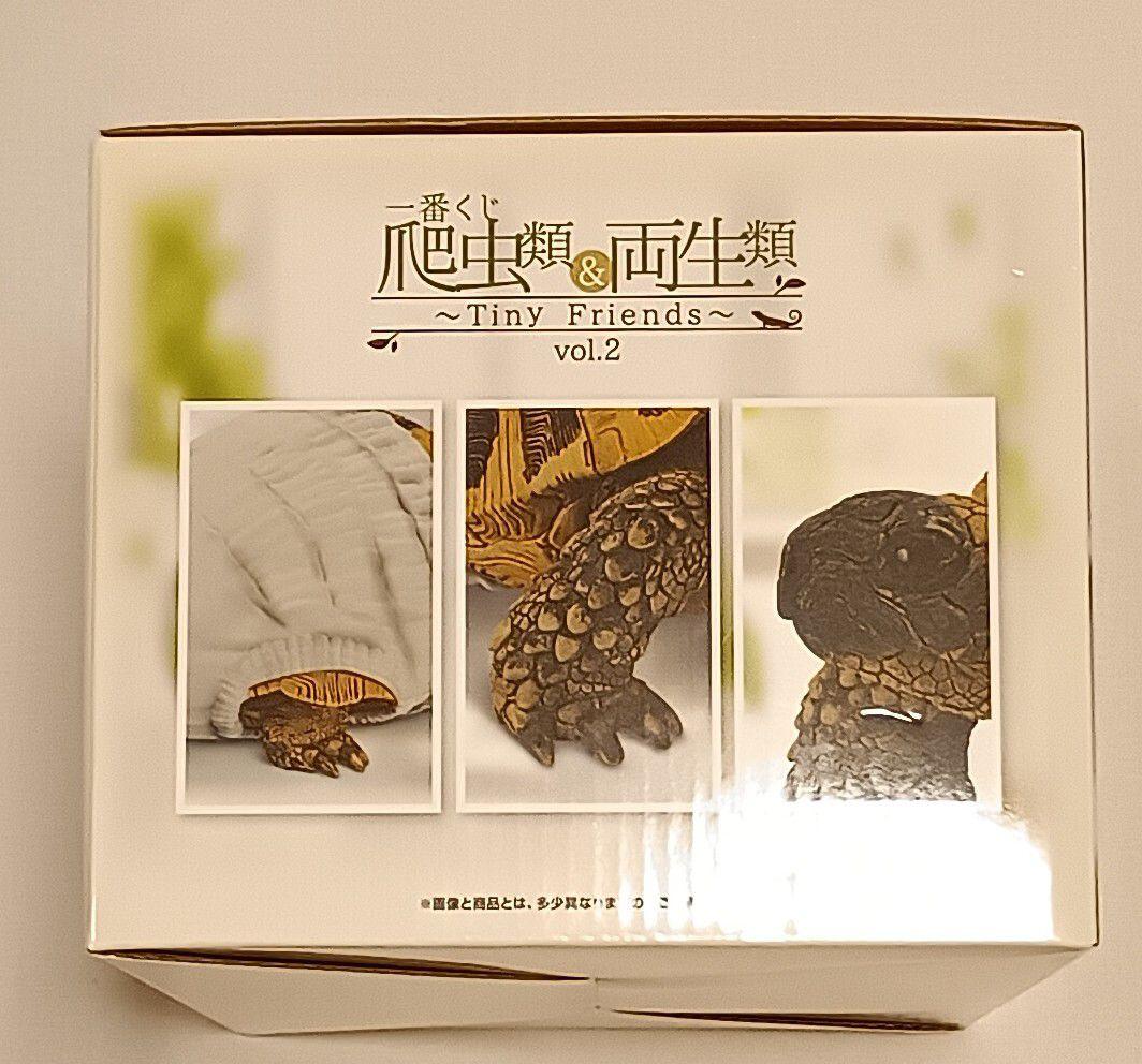 一番くじ爬虫類＆両生類　第2弾　A賞・B賞・C賞・ラストワン　フィギュア 4点