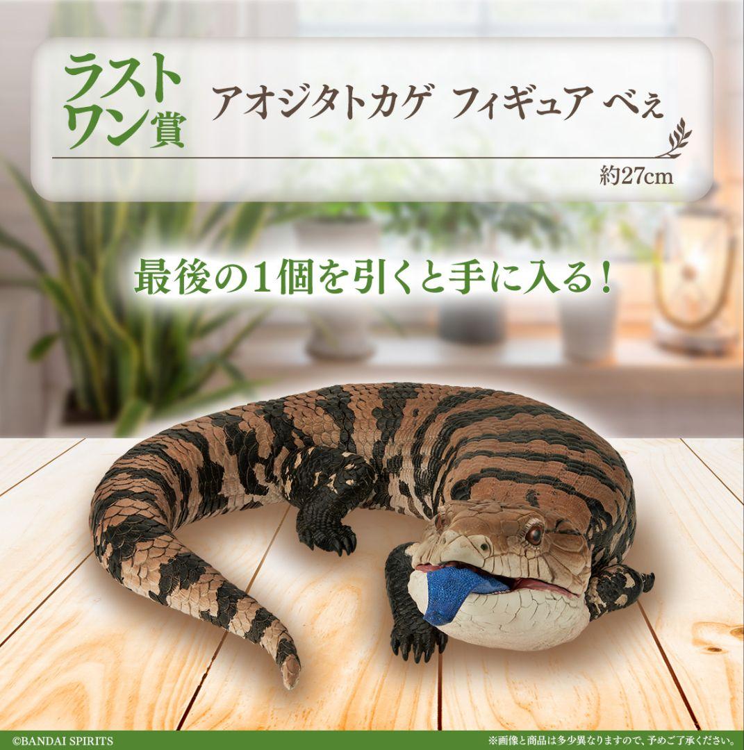 一番くじ爬虫類＆両生類　第2弾　A賞・B賞・C賞・ラストワン　フィギュア 4点