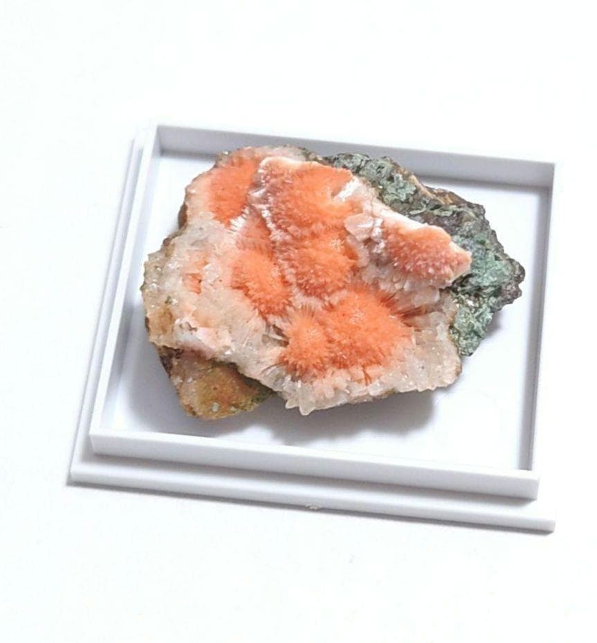 メソライト 2：カダクワニ（インド）