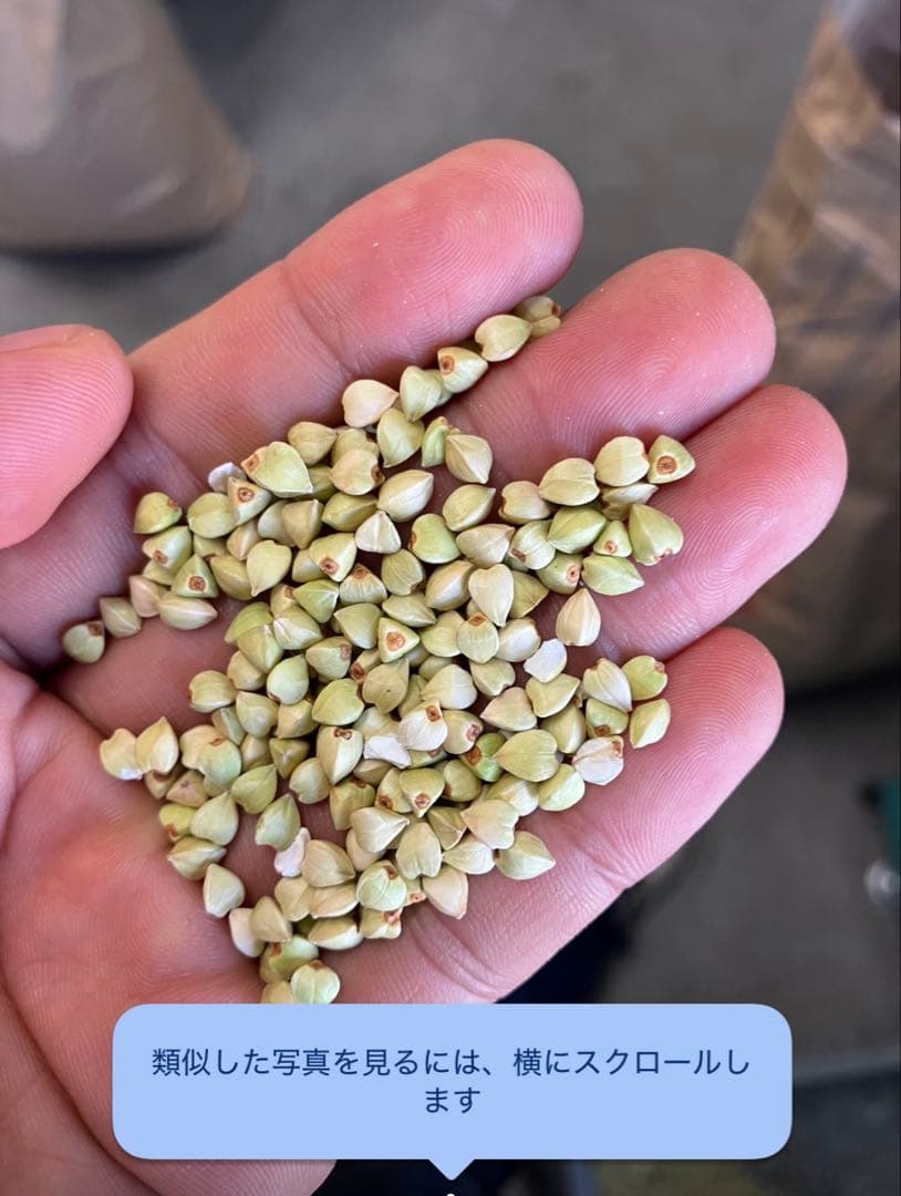 国産石臼挽き蕎麦粉 10kg