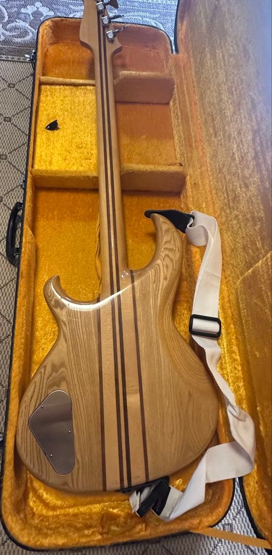 Aria Pro 2 Rsb 600 モデル