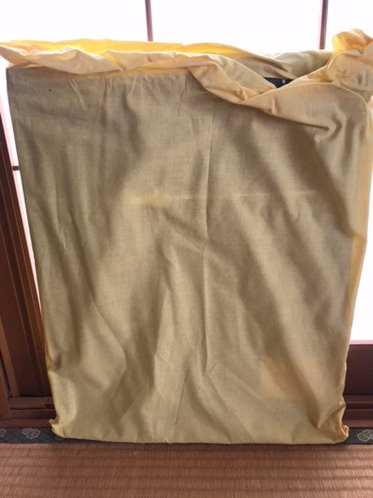 草場一壽　フレスコジクレ「大日如来」