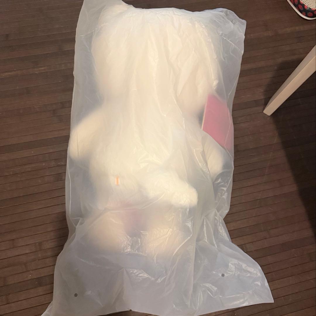 Stray Kids スキズ テディベア ぬいぐるみ SKZOO ジニレット